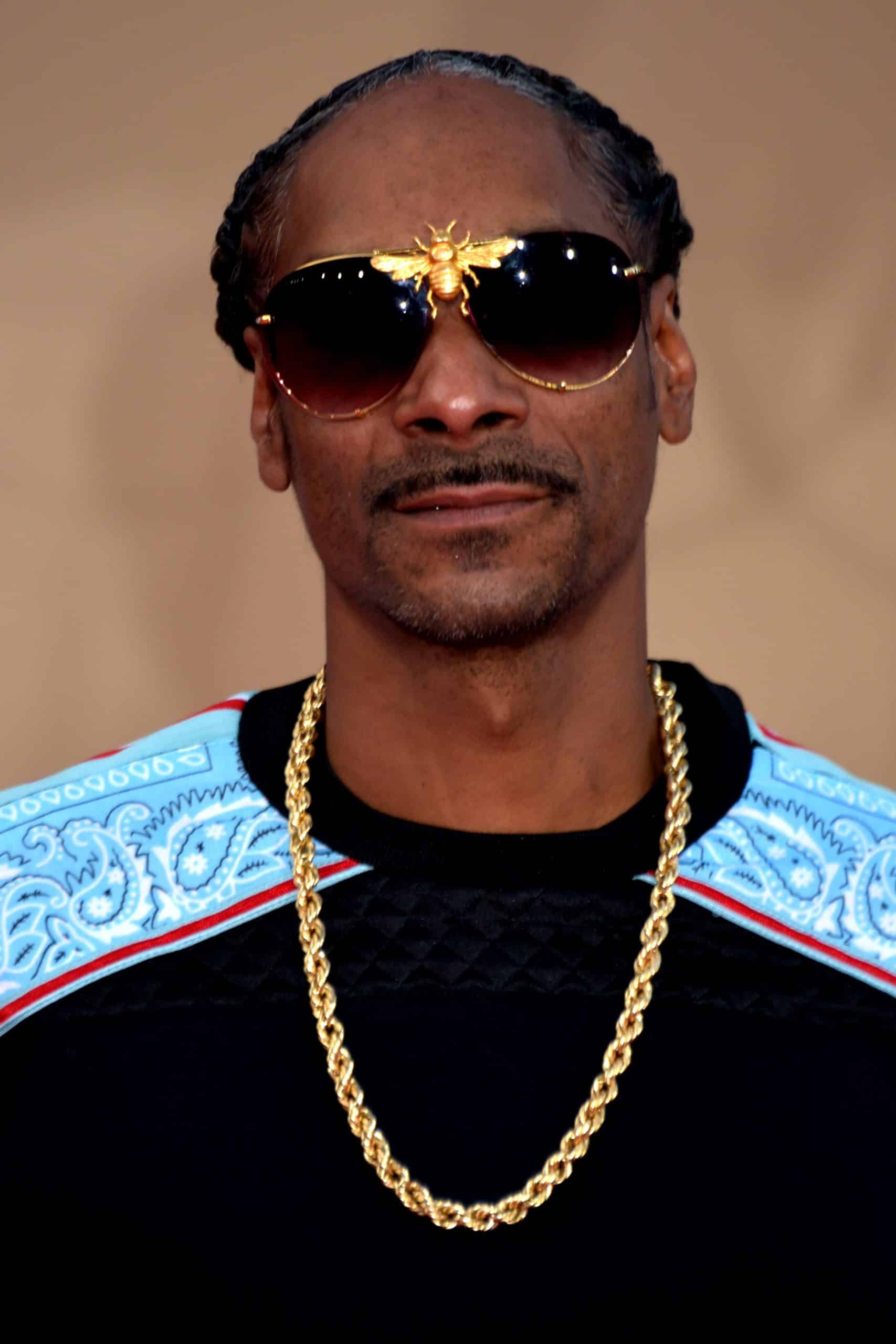 Snoop Dogg Famous Streamers